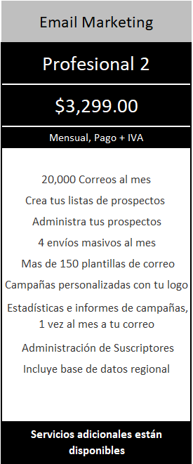 PROYETEL Email profesional 2