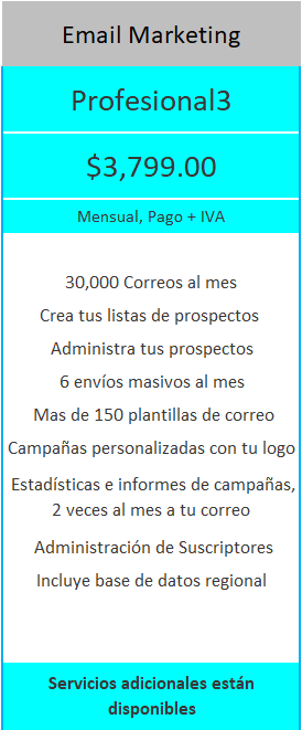 PROYETEL Email profesional 3