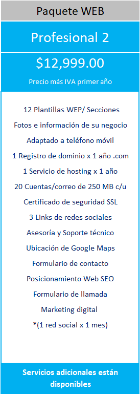 PROYETEL PROFESIONAL 2