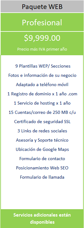 PROYETEL Profesional