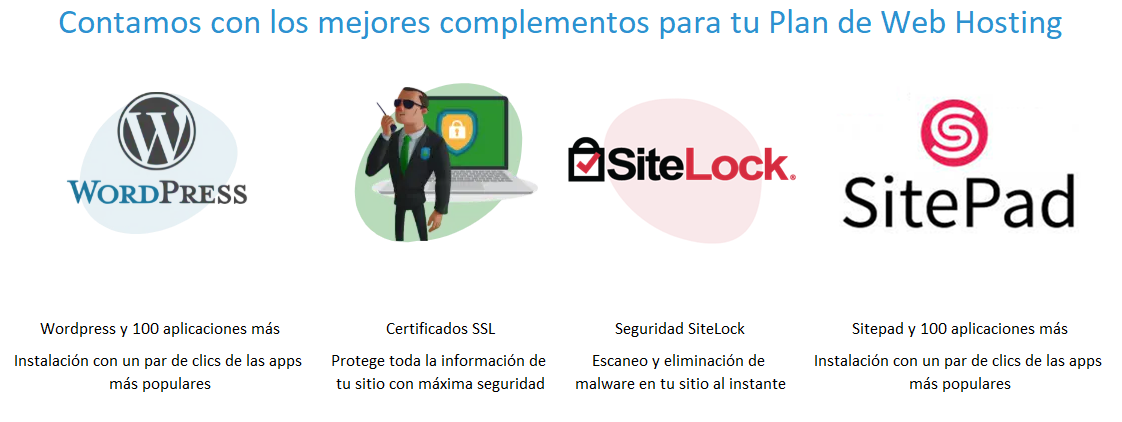 PROYETEL SEGURIDAD WEB