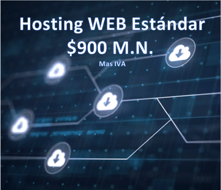 Hosting estándar